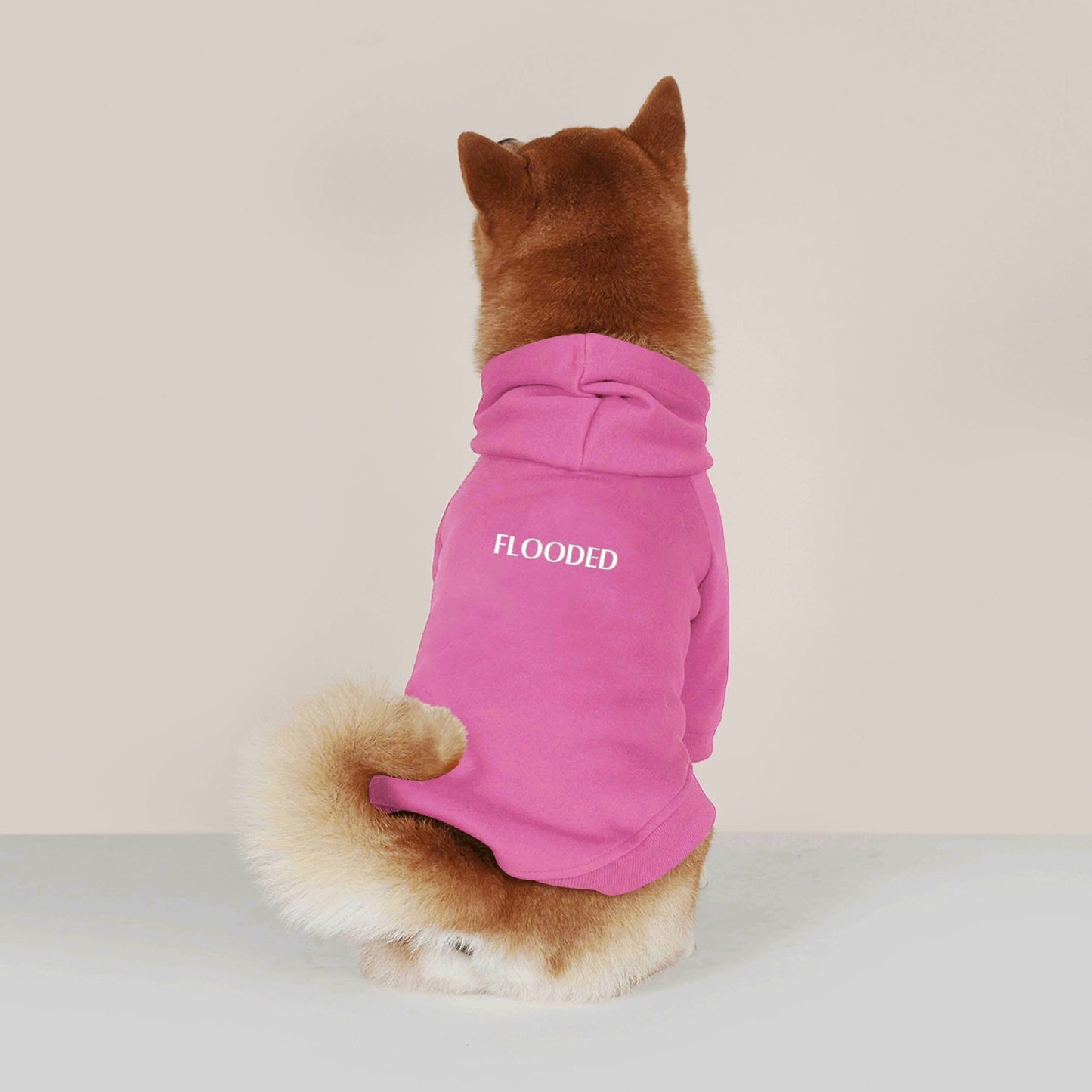 Embroidered Text for Cotton XL-6XL Dog Coat Pet Hoodie