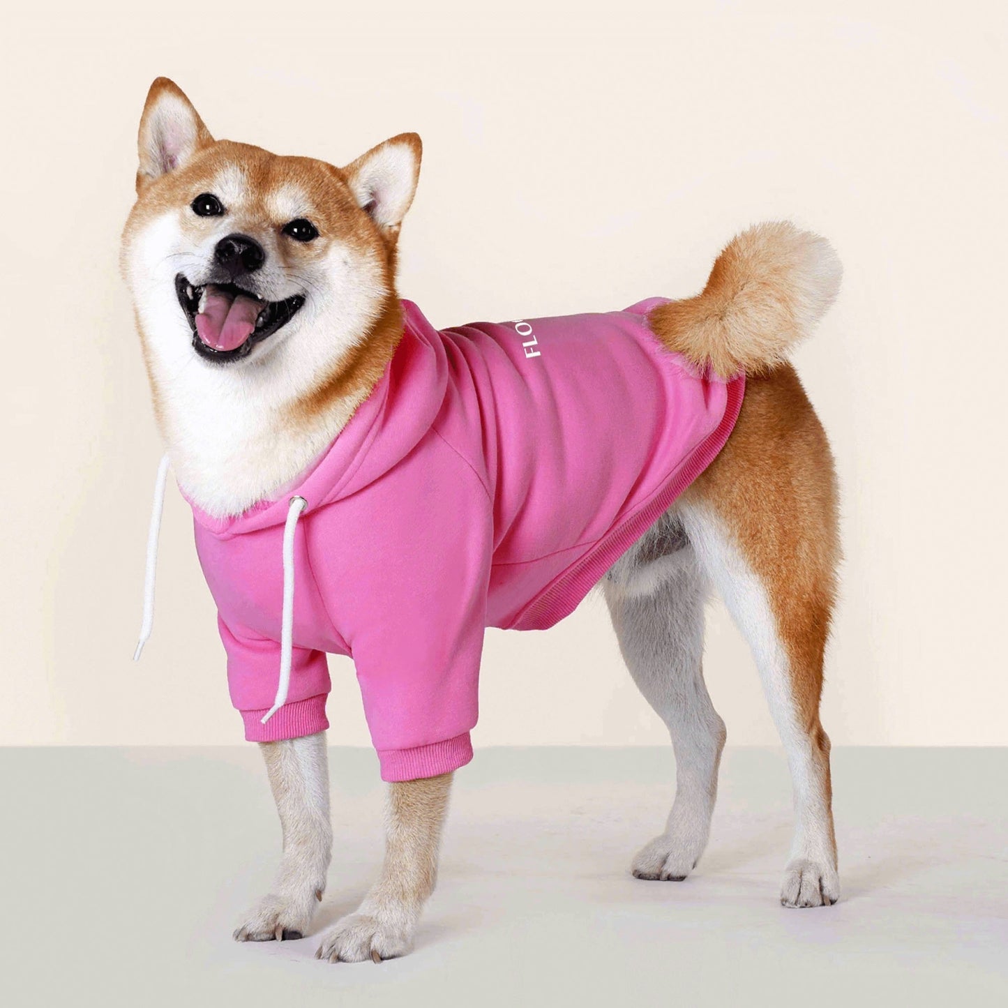 Embroidered Text for Cotton XL-6XL Dog Coat Pet Hoodie