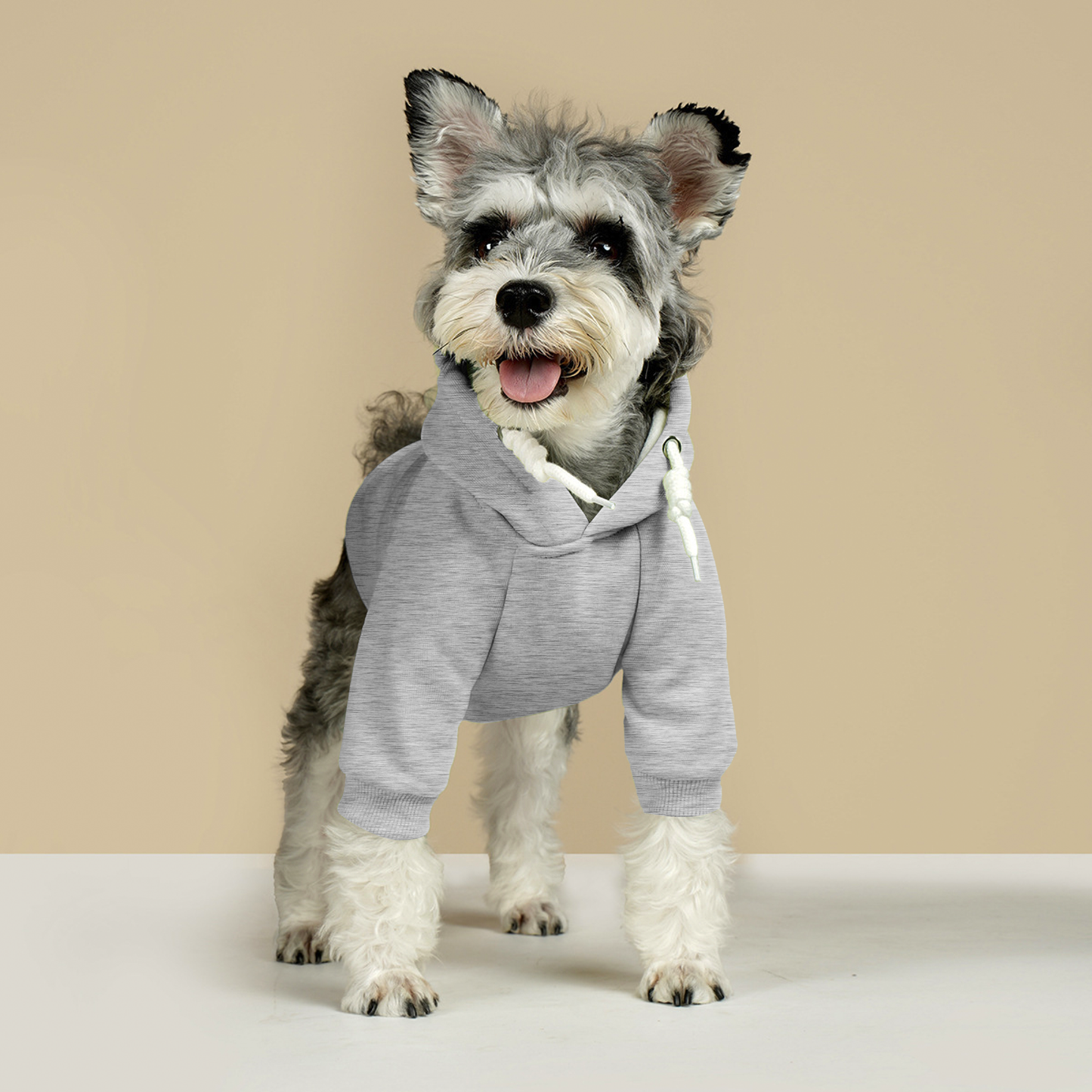 Embroidered Text for Cotton XL-6XL Dog Coat Pet Hoodie