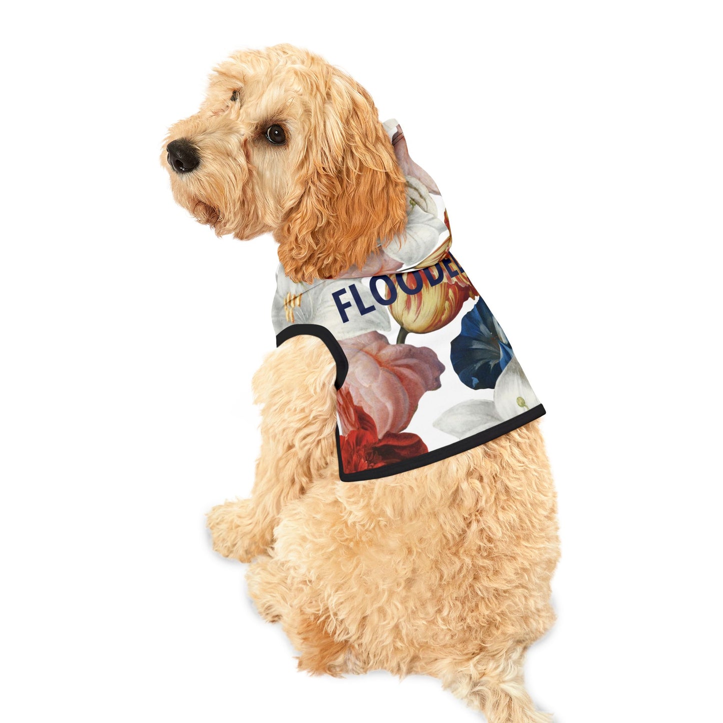 Flooded Vibes Dog Hoodie