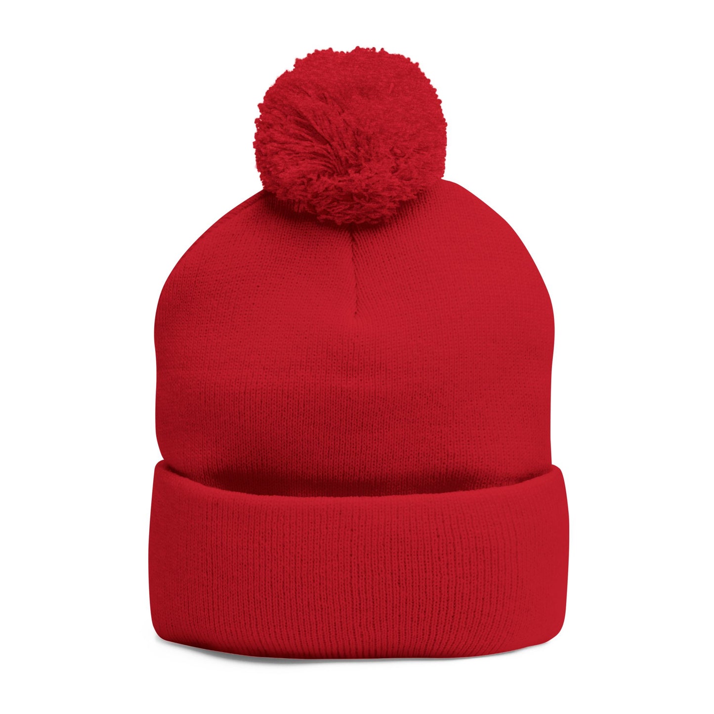 Flooded Christmas Pom-Pom Knit Cap